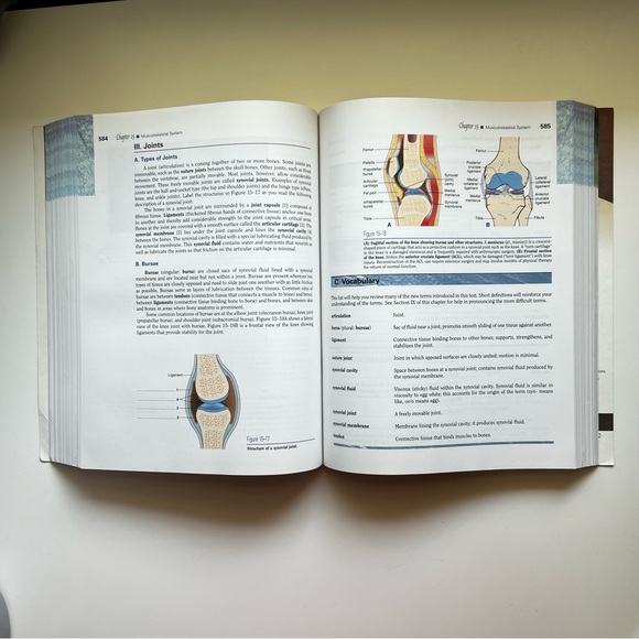 The Language of Medicine 7th Edition by Davi-Ellen Chabner (Paperback) - Picture 4 of 7